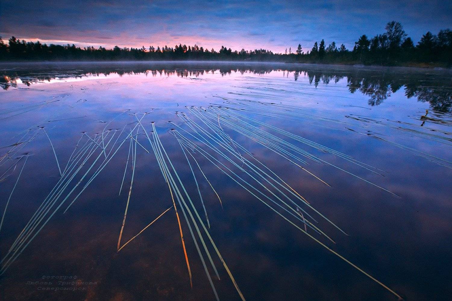 пейзаж, природа, кольский п-ов,, Любовь Трифонова