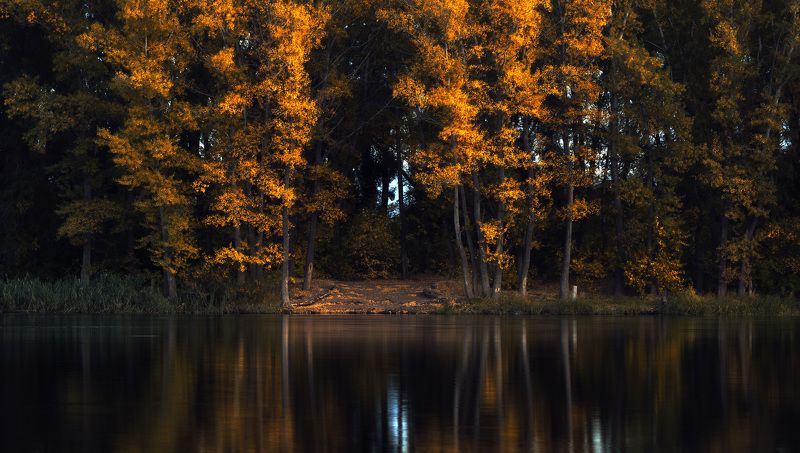 осень, река, отражение, гладь, тишина, осень, деревья, урал, вечер Тишина фото превью