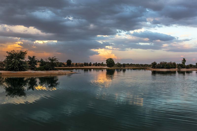 пустыня, озеро, заповедник, природа, Al Qudra Озёра Al Qudra фото превью