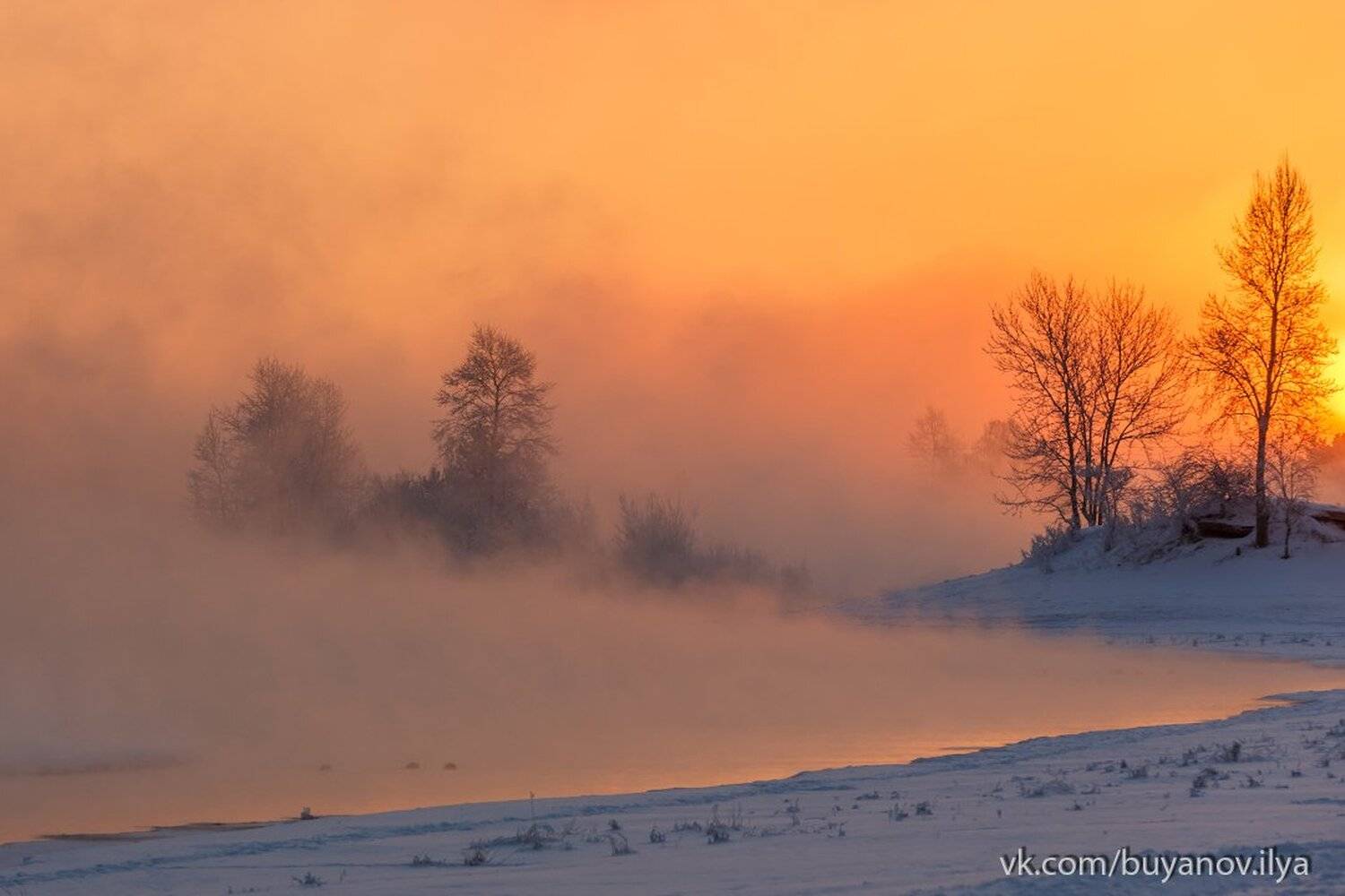 , Илья Буянов