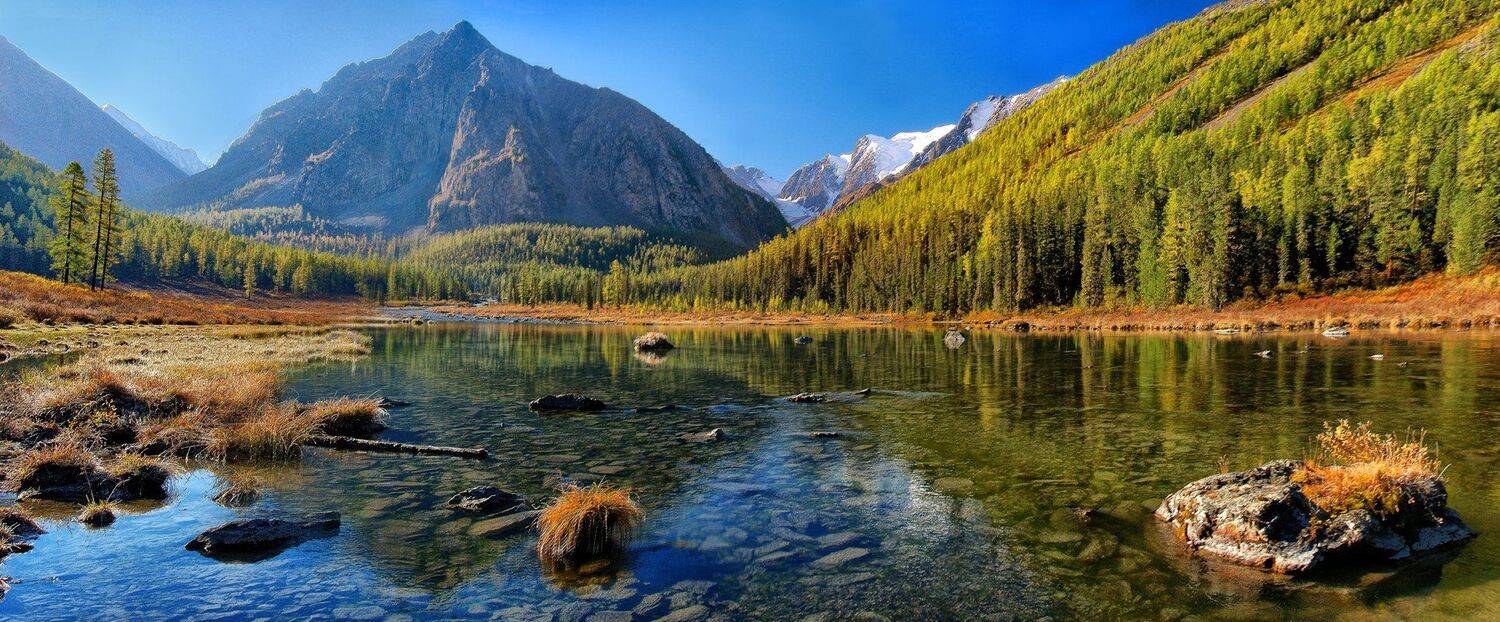 алтай шавла, Клековкин Алексей