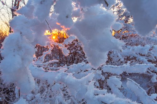 Прогулки по зимнему лесу