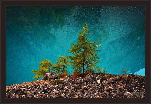 Этюд на берегу Шавлинского озера