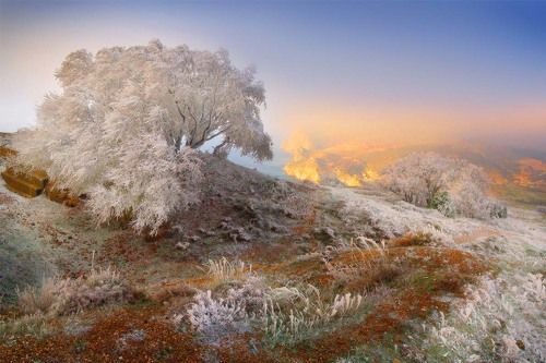 Рассвет в Балаклаве