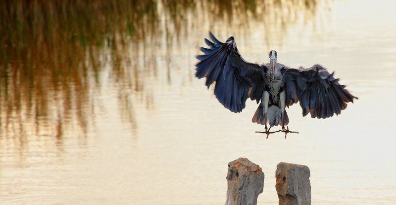 Touchdown фото превью