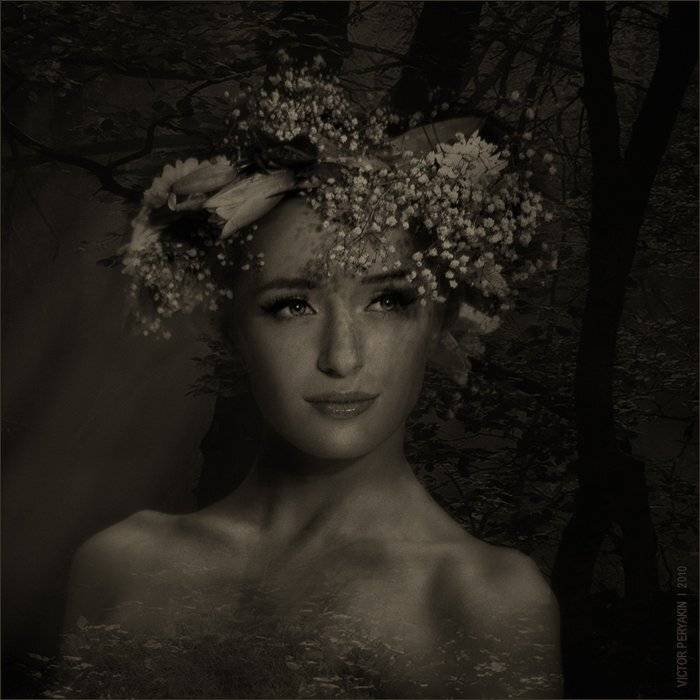 , Виктор Перякин