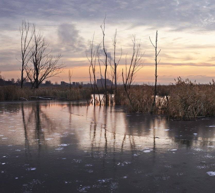 , Михаил Мочалов