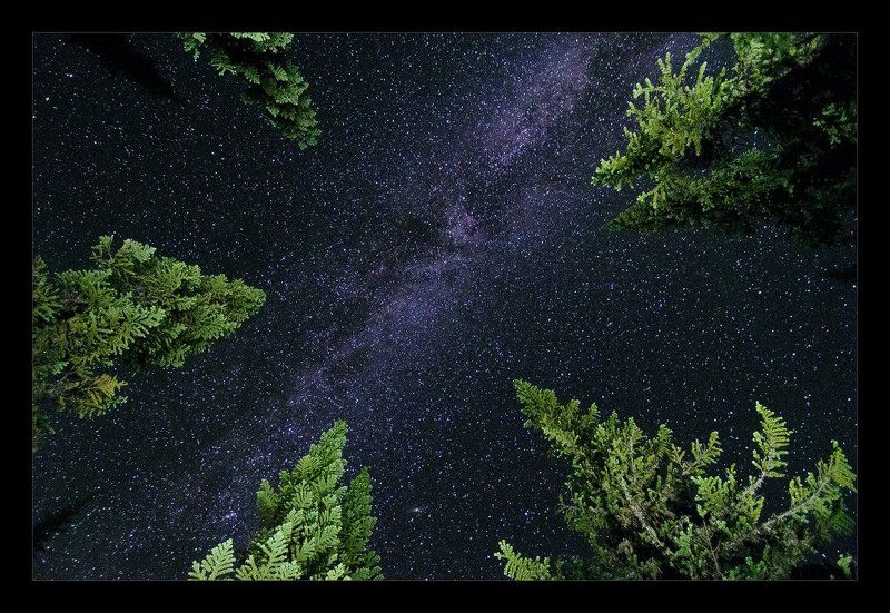 Звёздные стражи фото превью