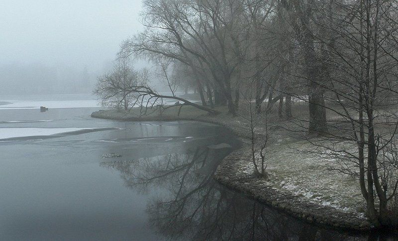 Ивы фото превью