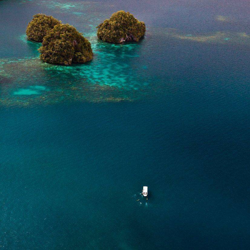 купальщицы, Нетушки