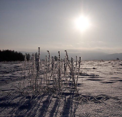 Провожая солнце...