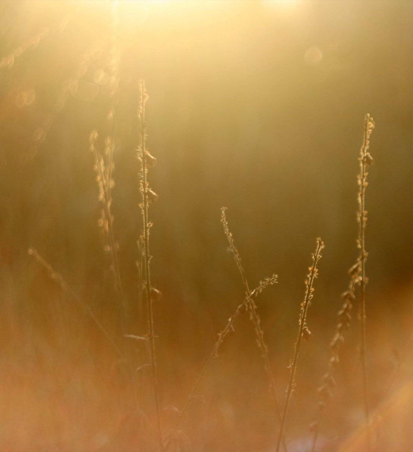 , Володимир Коцюбенко