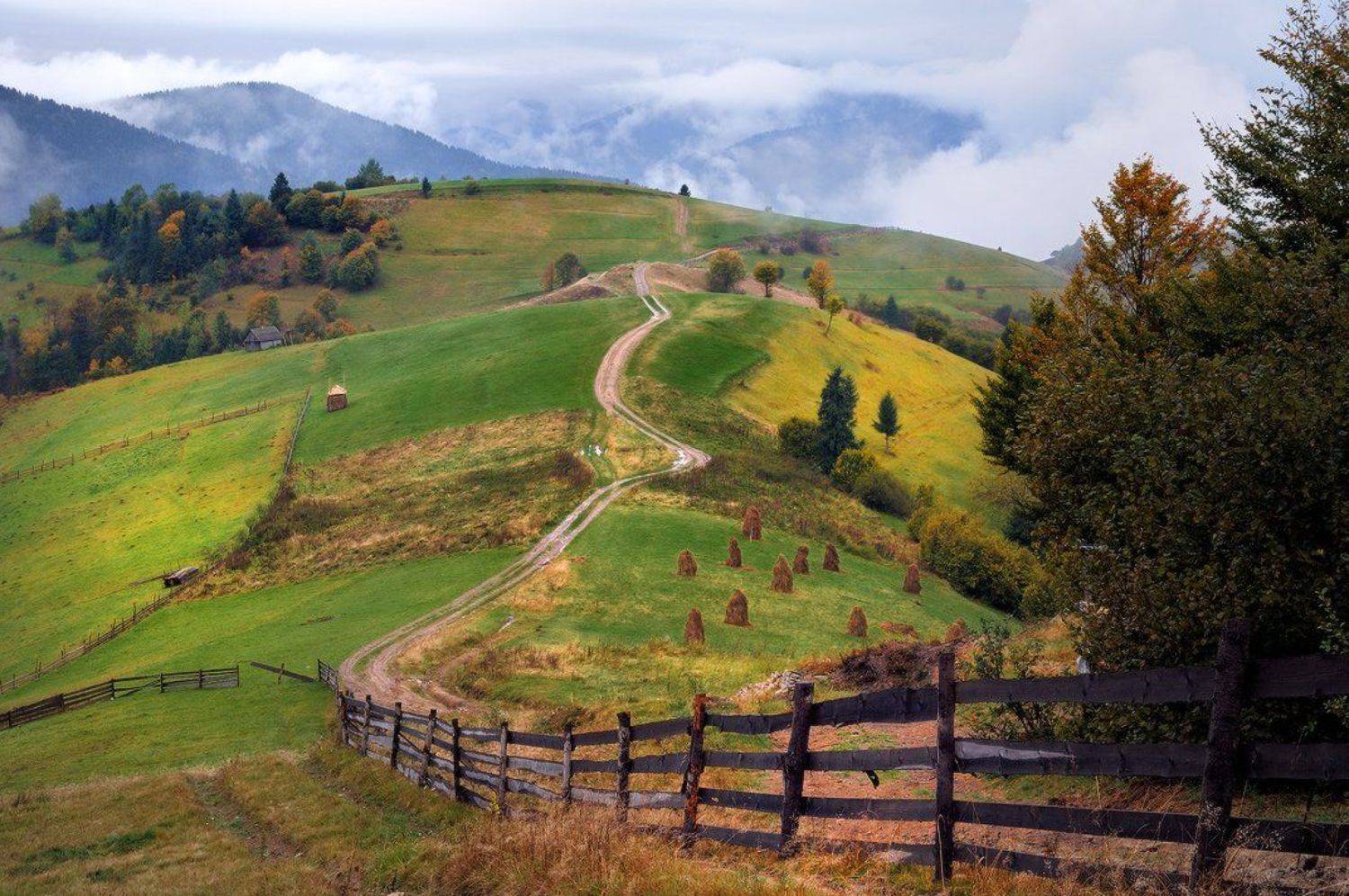 , Леонид Закревский