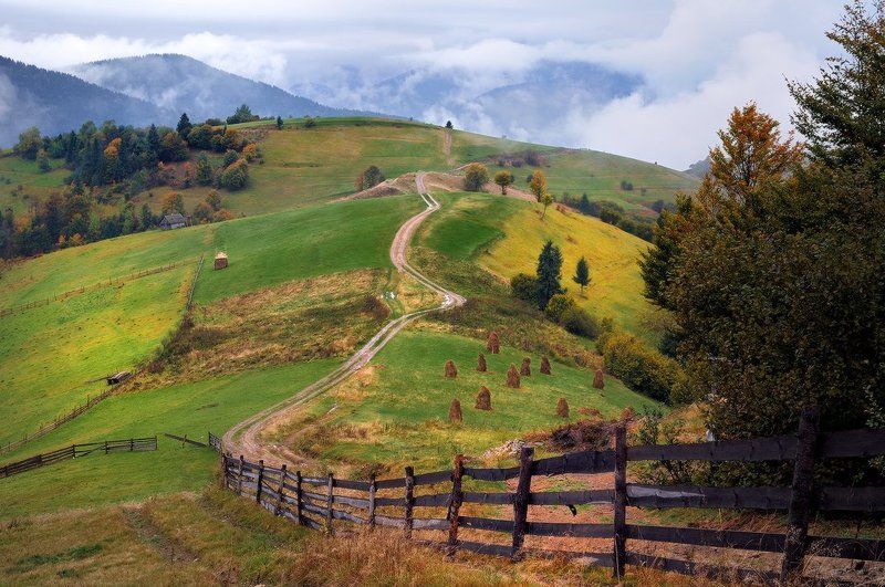 *** фото превью