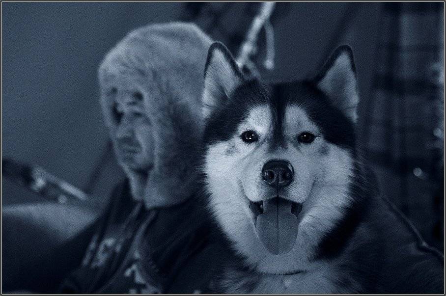 , Aleetet www.loft-photo.ru