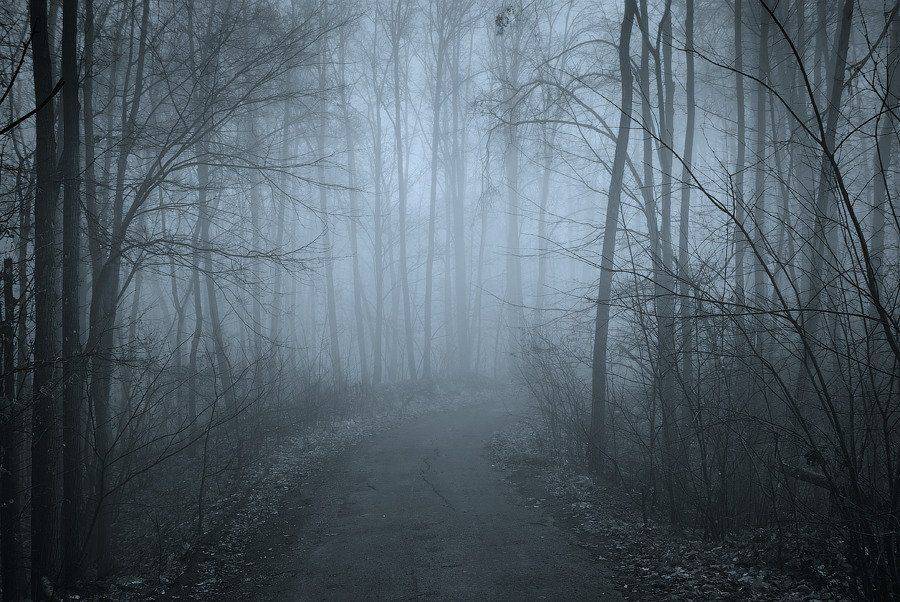 , Andrew (a-never) Nitsenko