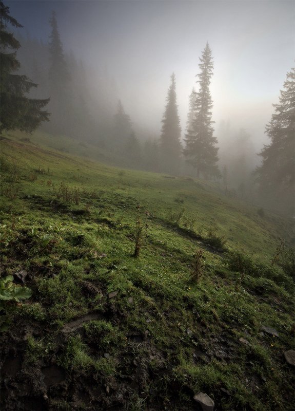 карпаты *** фото превью