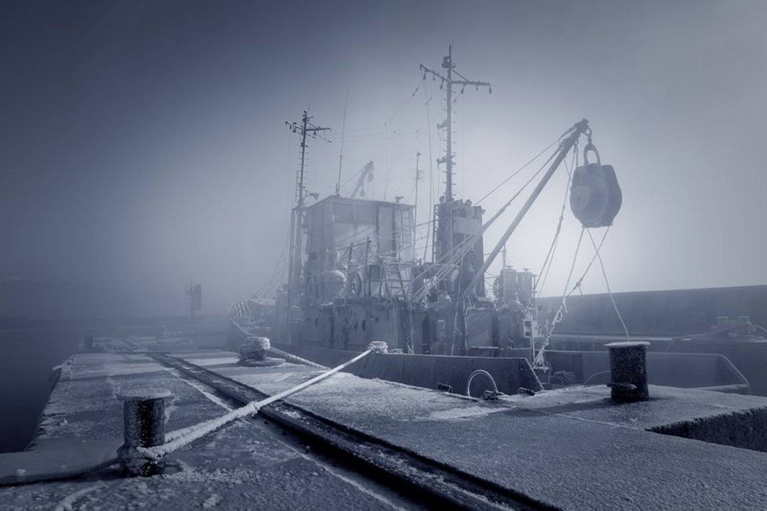 , А.П.Кактус