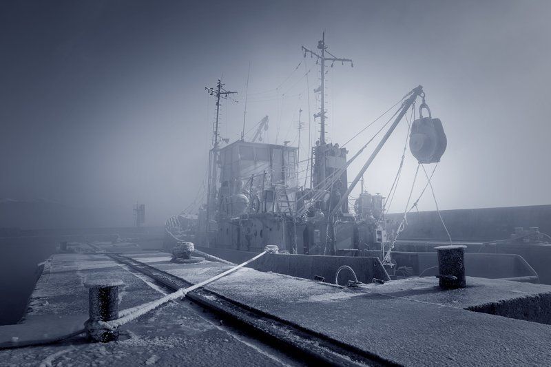 на привязи фото превью