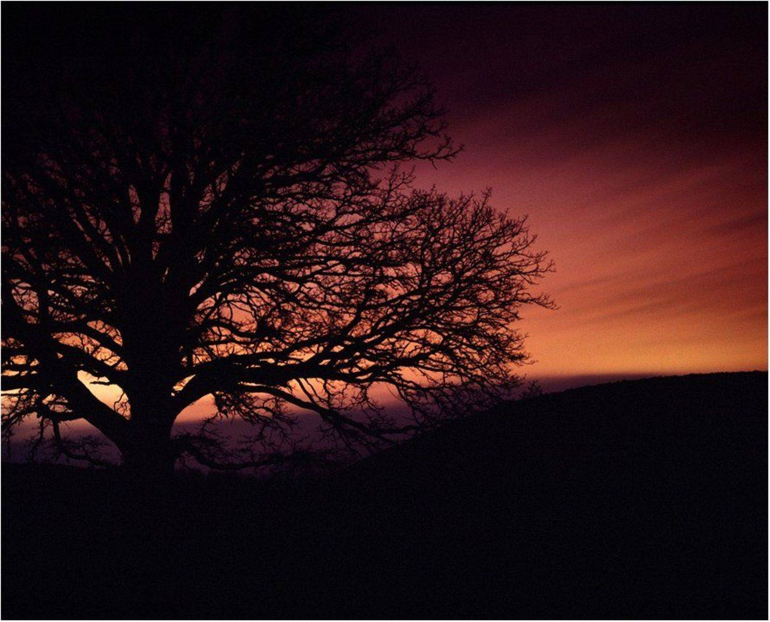 , Роман Путинцев