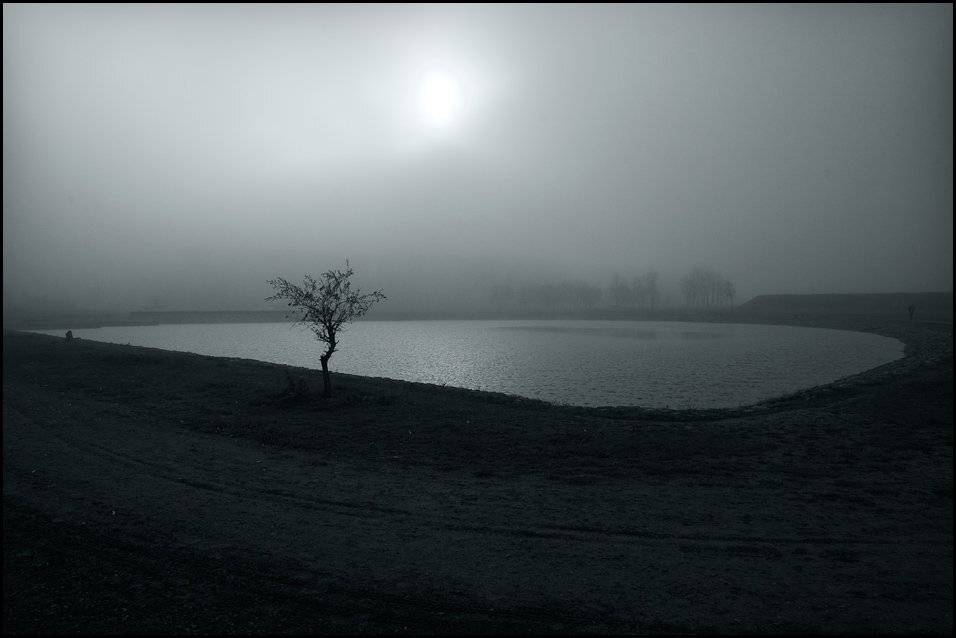 , Александр Гришаев