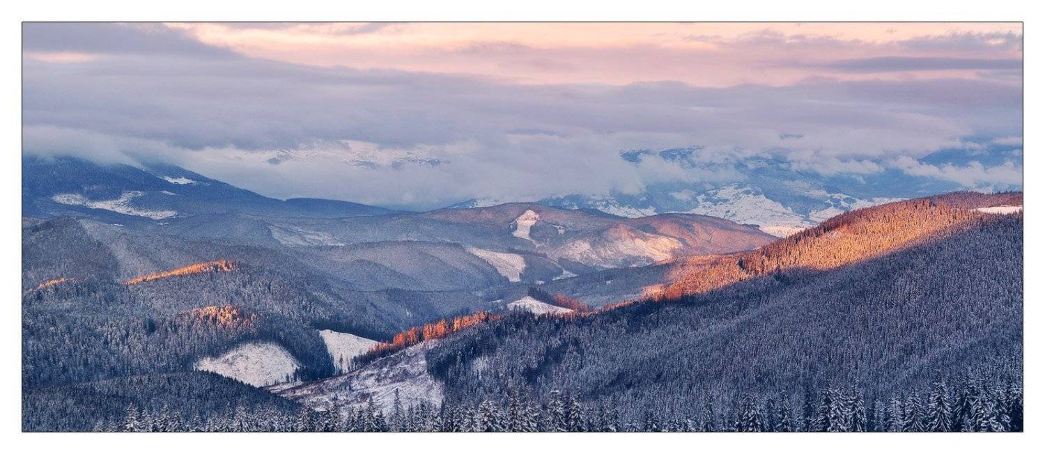 , Денис Кривой