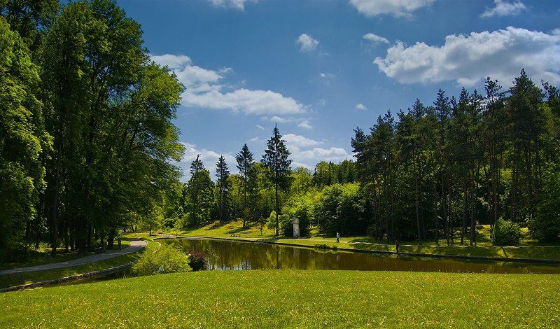 пейзаж Пруд фото превью