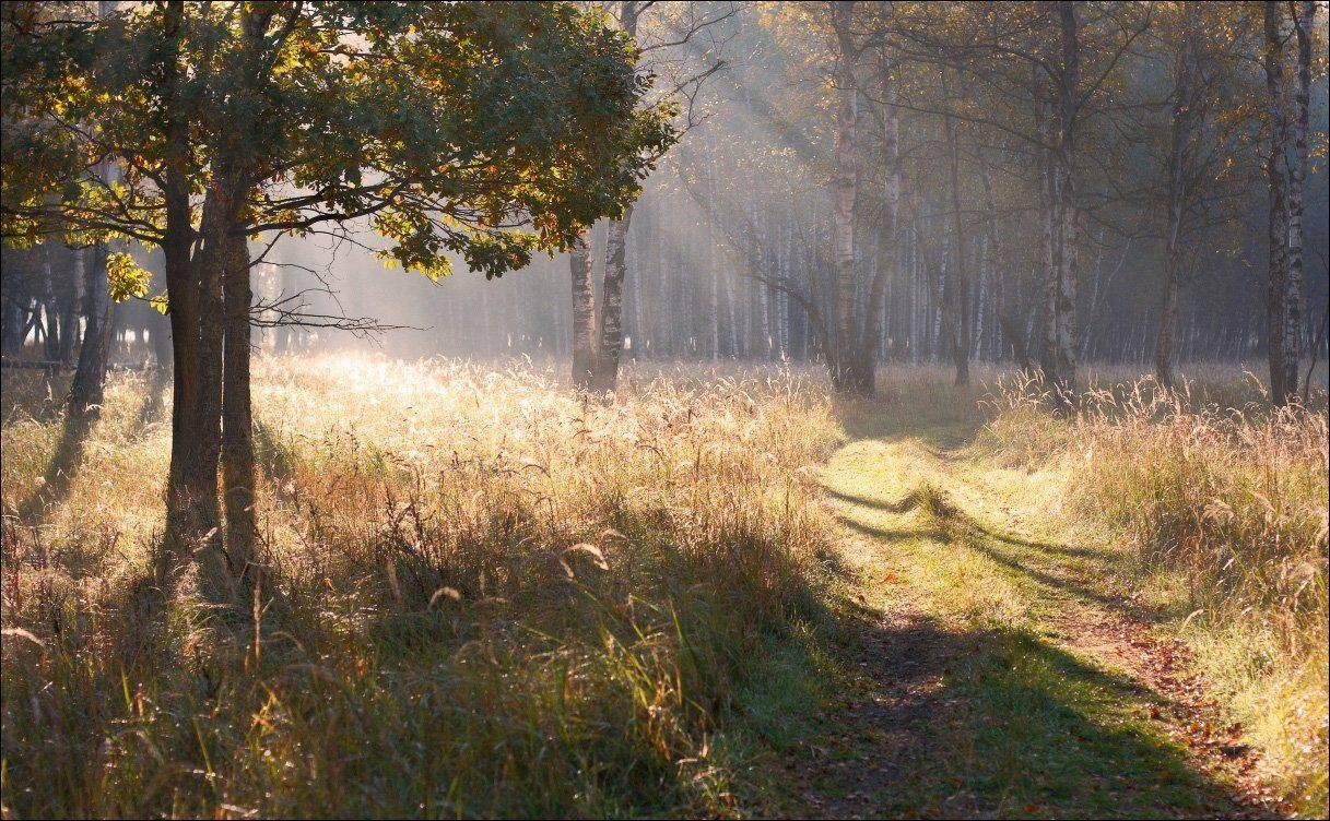 , Вадим Никифоров