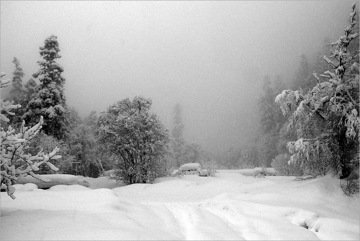 кчр, алибек, зима, лес, снег, Роман Махненко