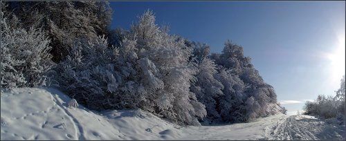 Солнечный денек