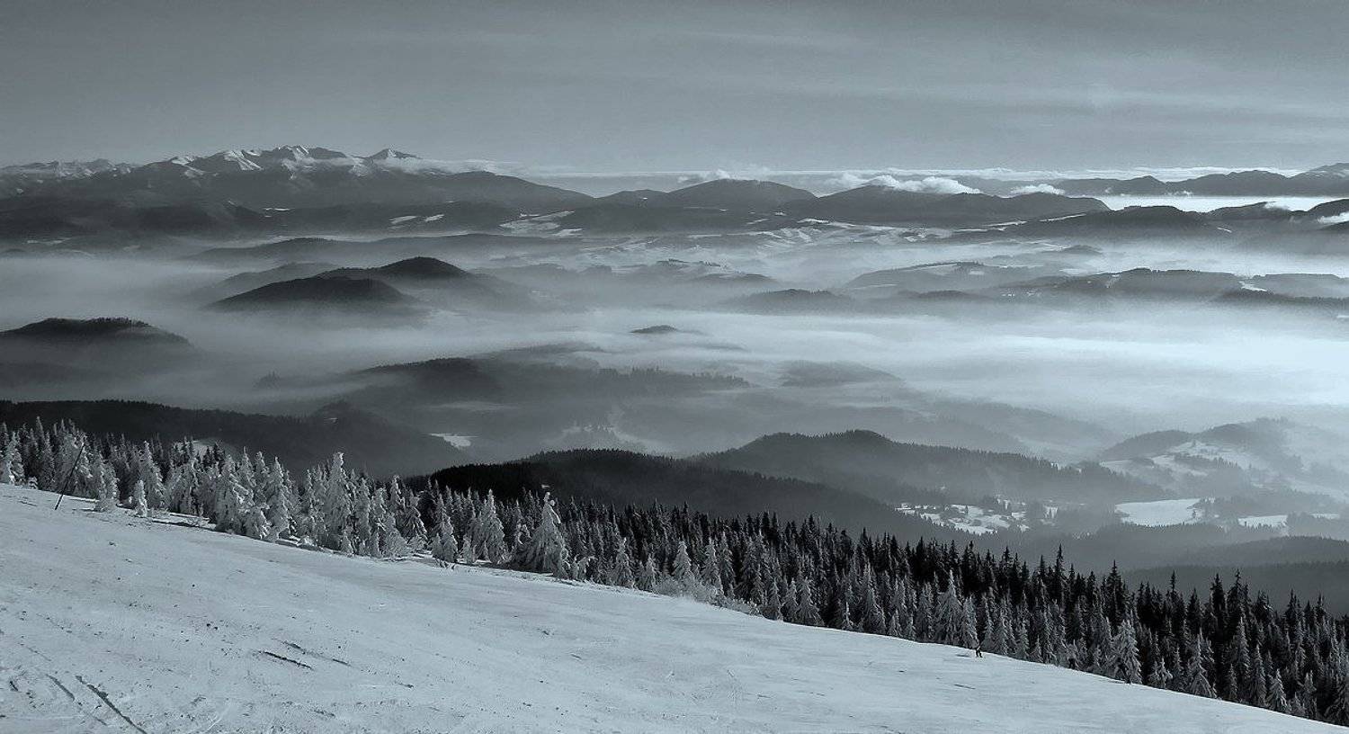 , Vasylevskyy Vitaliy