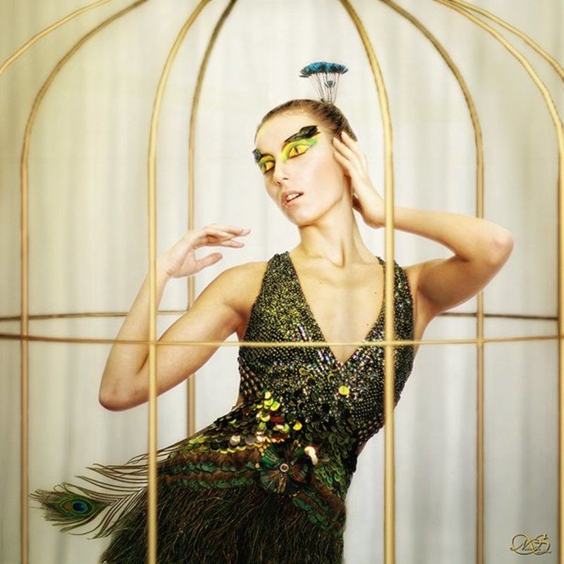 павлинка фото превью