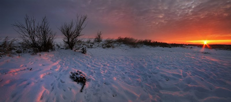 Пикник на обочине фото превью