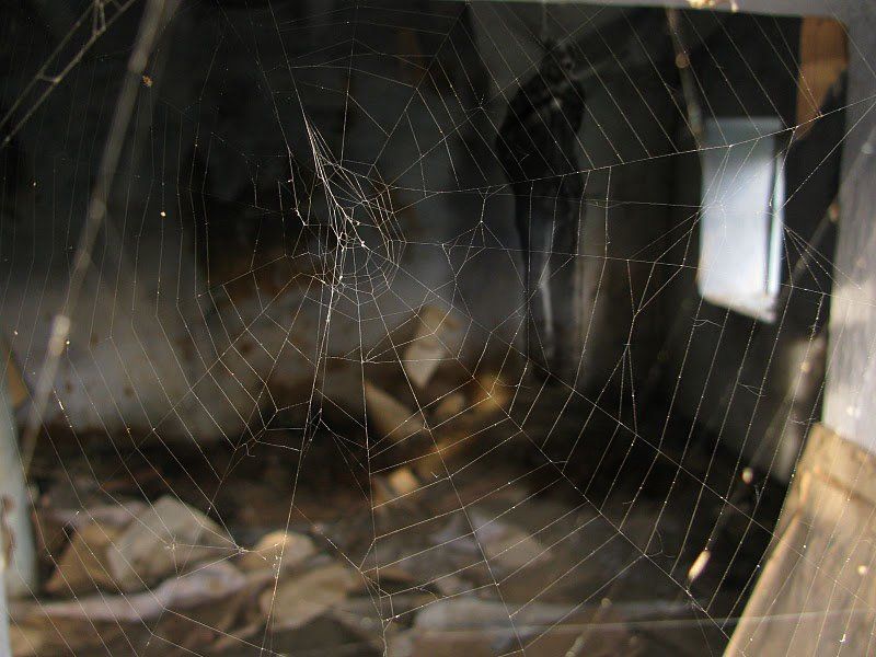 Переплетая былое... фото превью