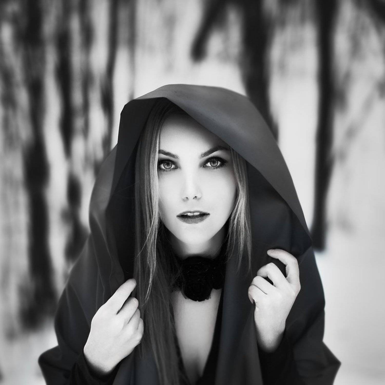 лес, деревья, сны, сны деревьев, девушка, зима, холод, Сергей Белых