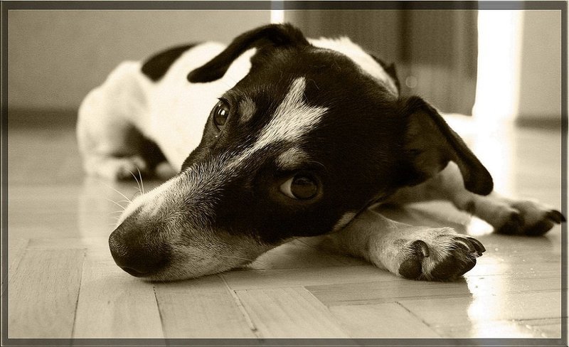 грусть фото превью