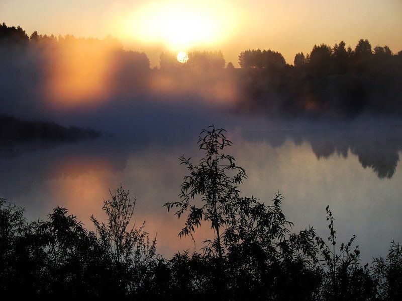 утро фото превью