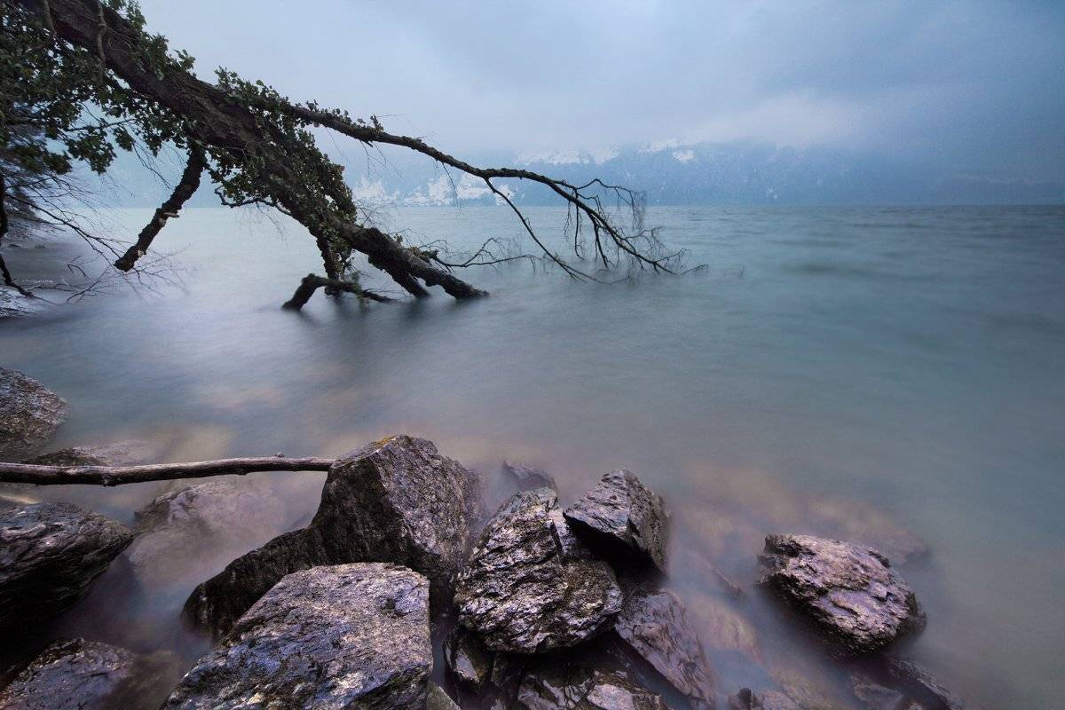 швейцария, бриенц, Матвеев Николай