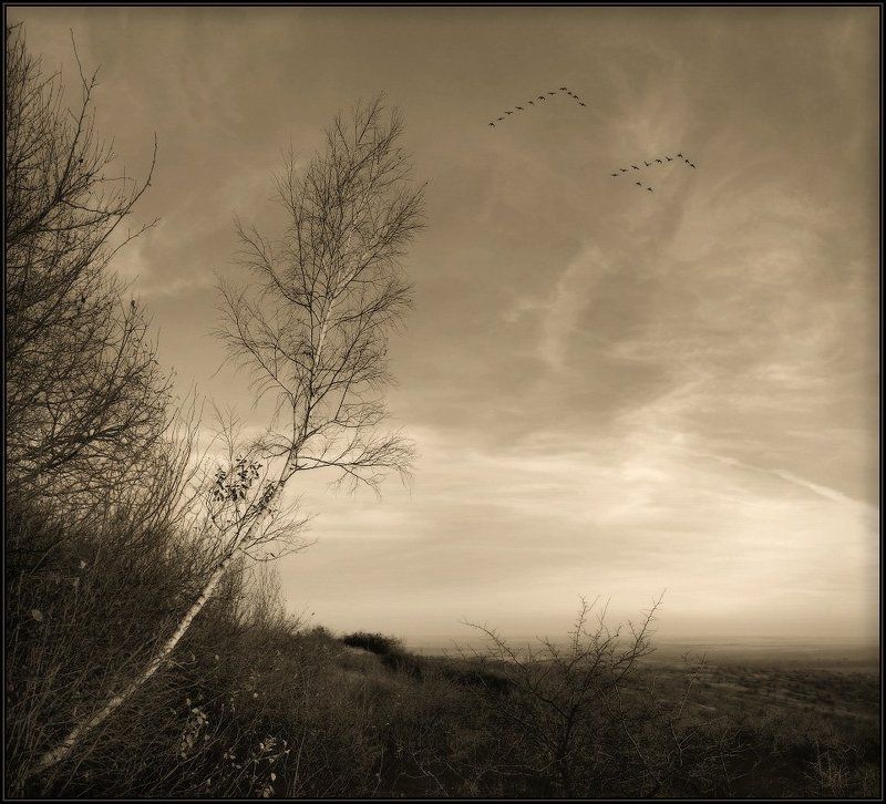 Мне бы крылья... фото превью