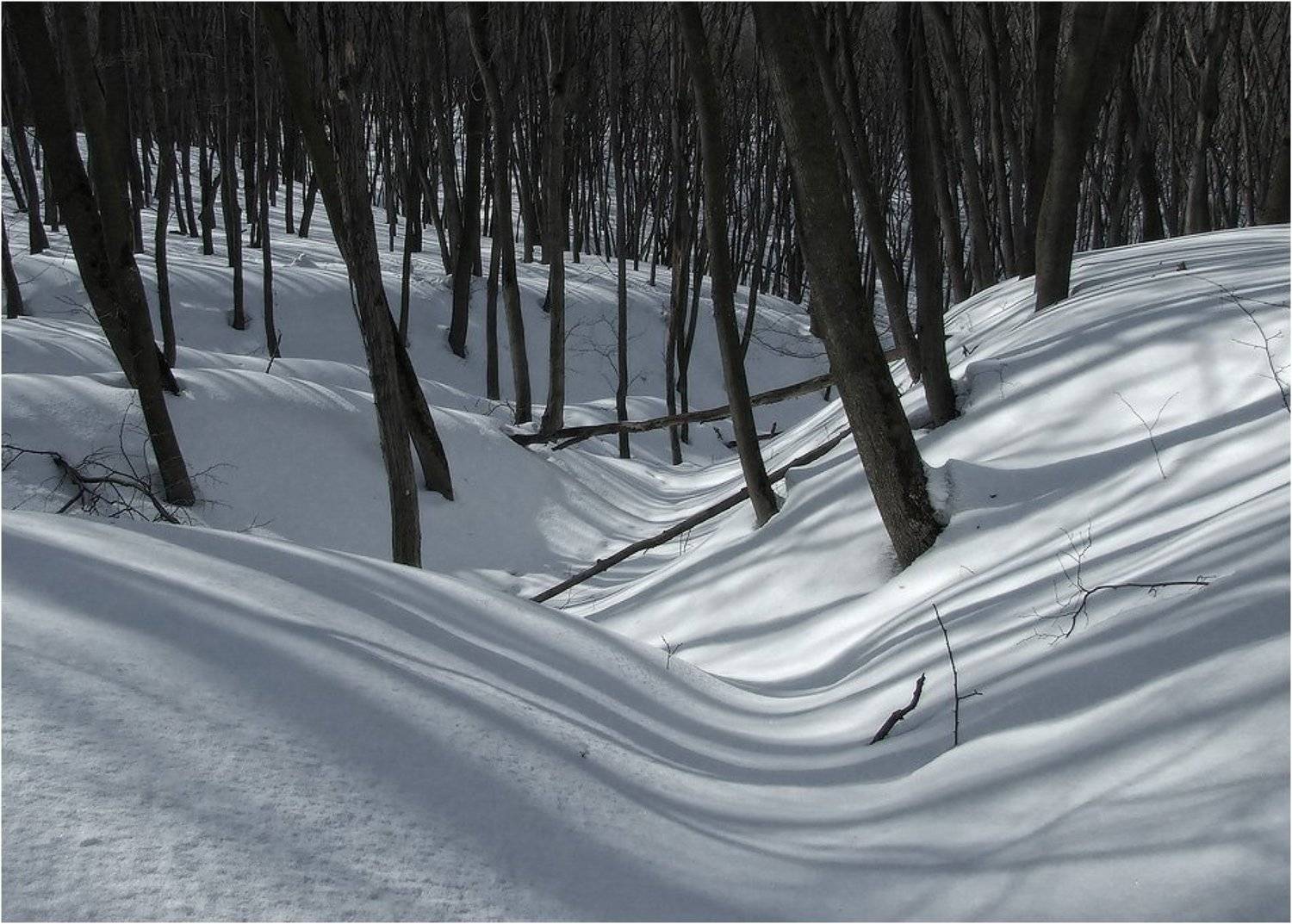 , Александр