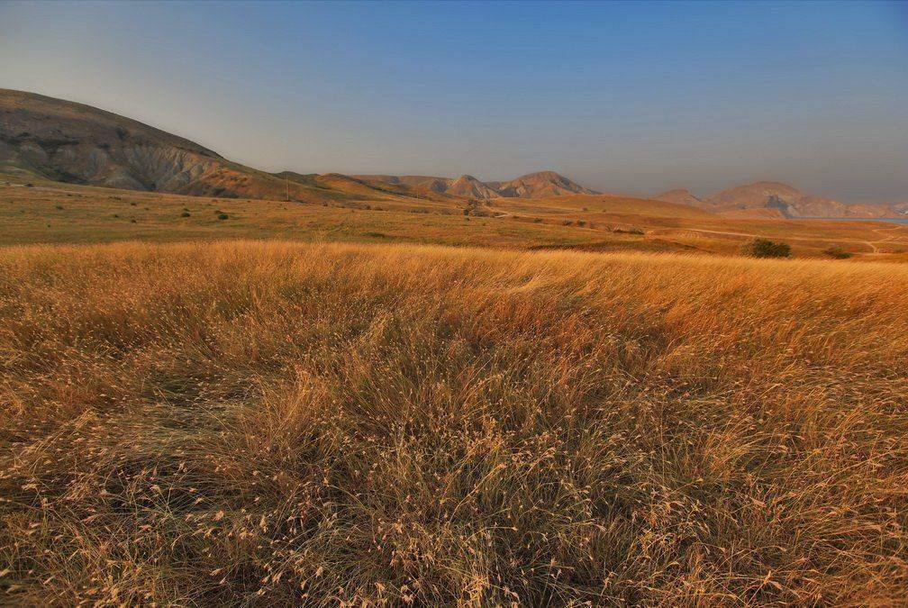 коктебель, степь, крым, Леонид