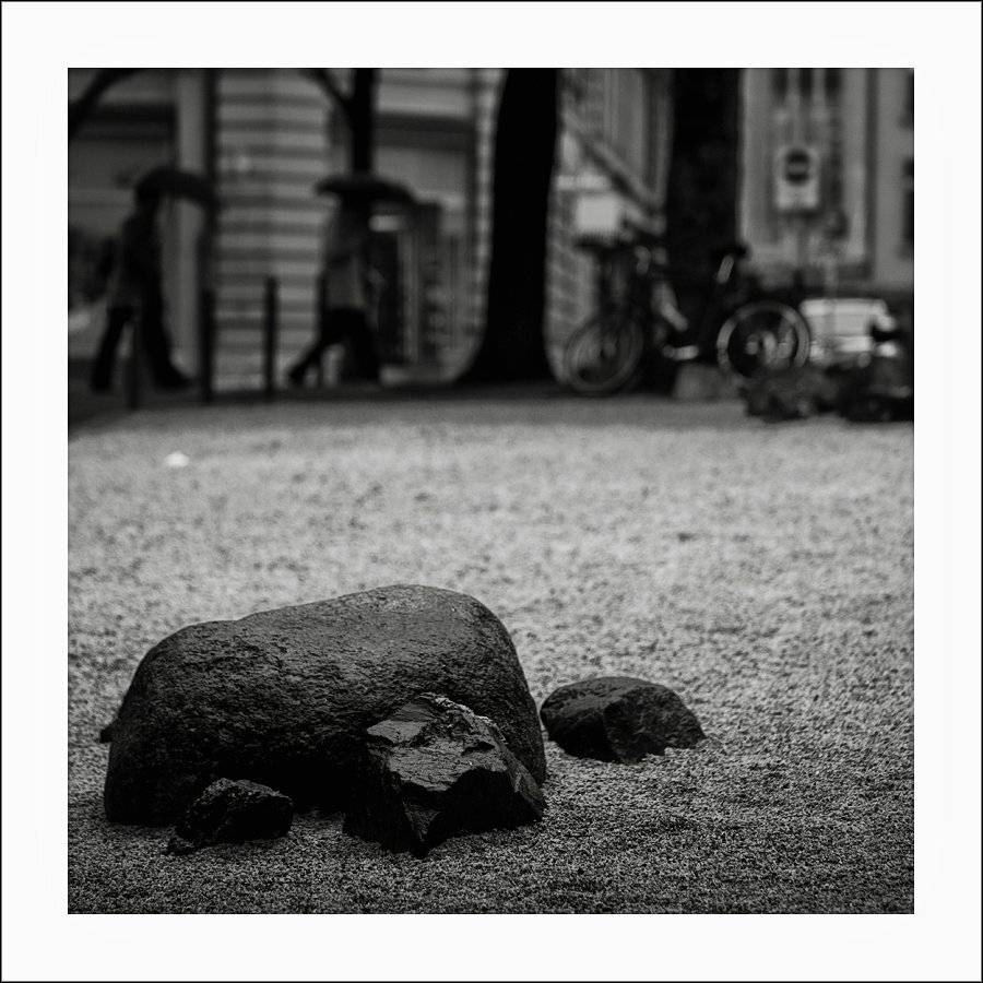 швейцария, берн, Лариса Гурьева