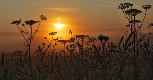 На рассвете