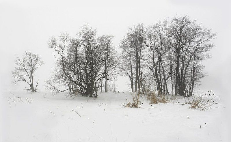 Силуэты фото превью