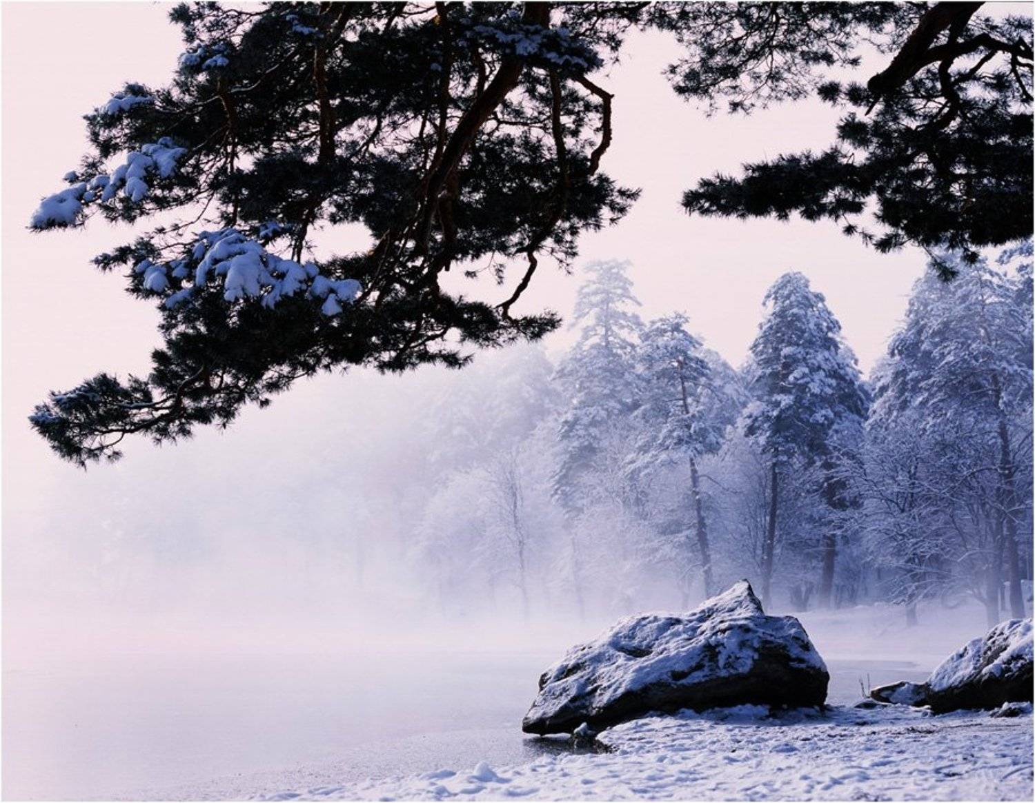 mamiya, fuji, rpdiii, Роман Путинцев