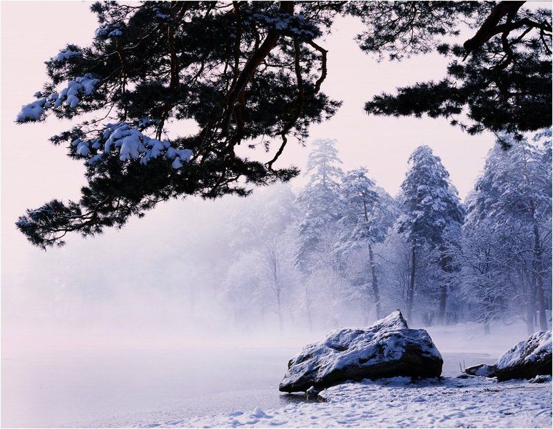 * фото превью