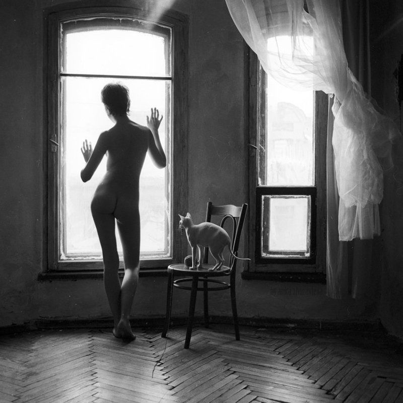 пленка, чб, mamiya, ilford, сфинкс, кошка, ню, окно, зима белый-белый зимний день фото превью