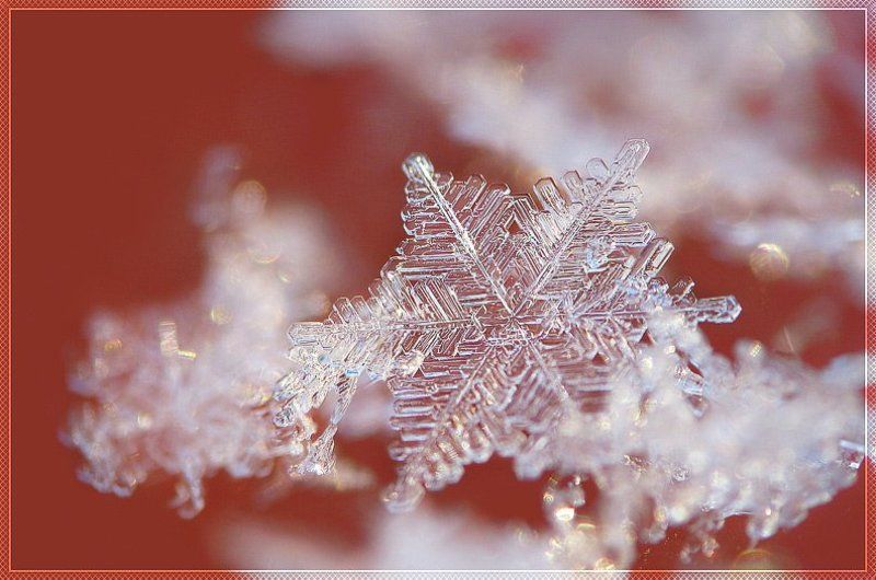снежинка, макро хрупкие миры фото превью
