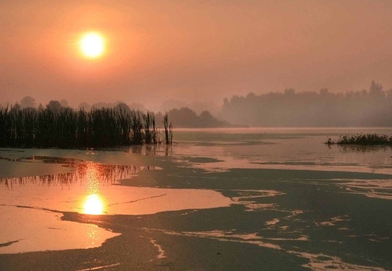 , Василий Черкасский