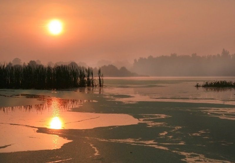 Розовый рассвет фото превью